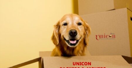 Tips on Moving with Pets