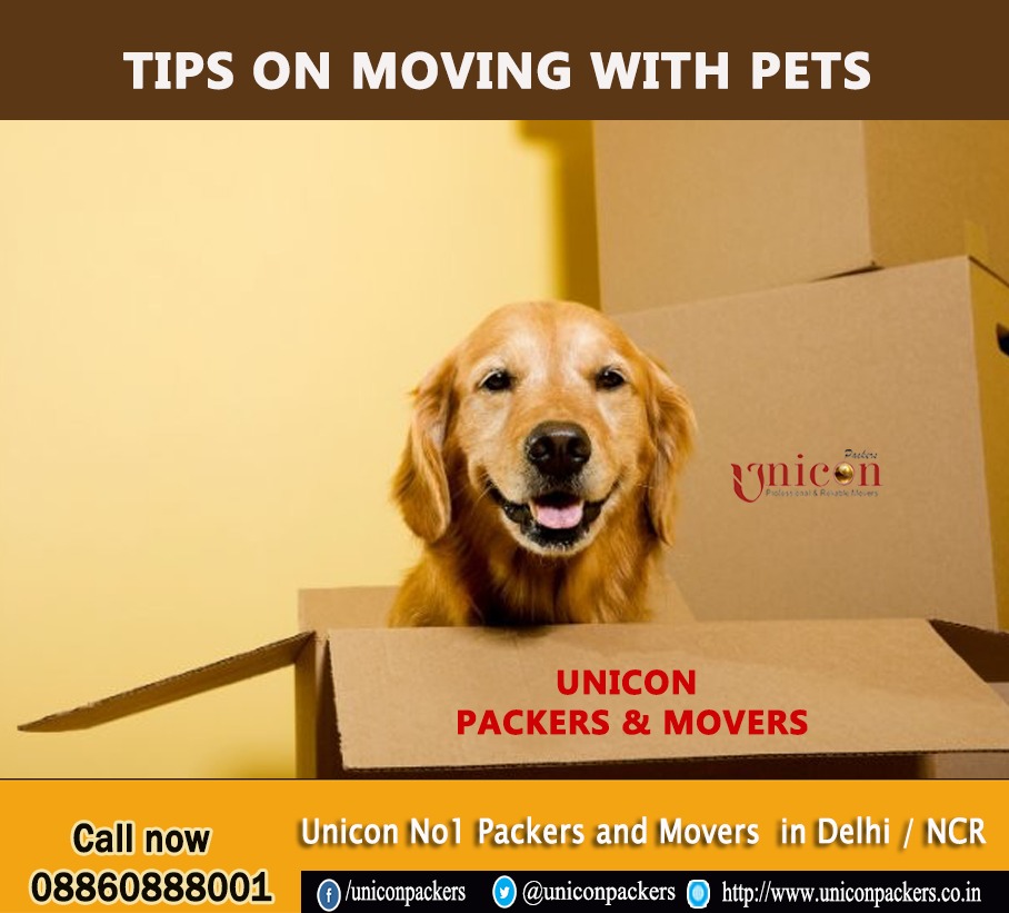 Tips on Moving with Pets